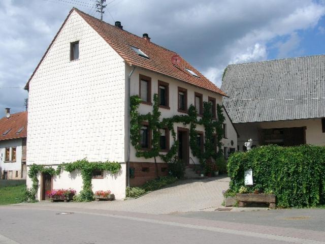 Ferienwohnung Zucht- und Ausbildungsstall Rubly Kleinbundenbach Exterior foto